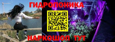 крисы Усть-Джегута