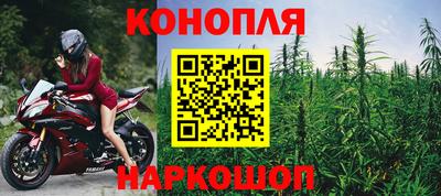крисы Усть-Джегута