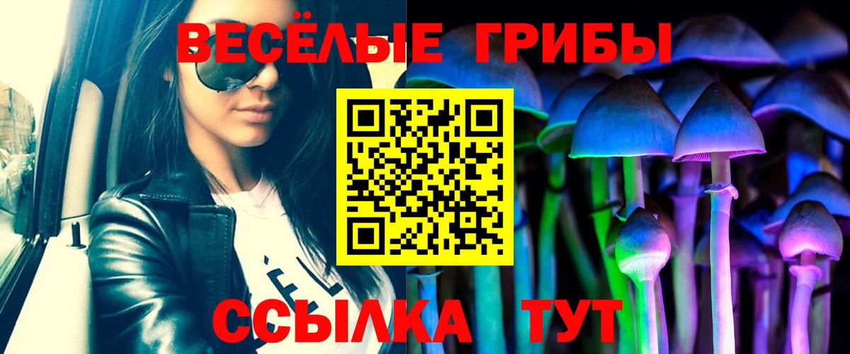 Галлюциногенные грибы MAGIC MUSHROOMS  Вход с VPN  Советский  Псилоцибиновые грибы GOLDEN TEACHER 